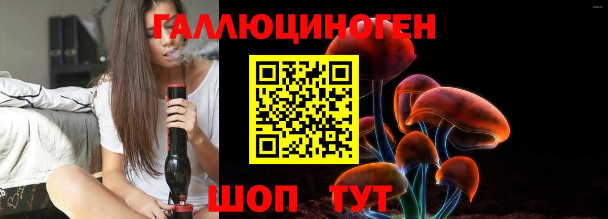 Псилоцибиновые грибы Cubensis Назрань
